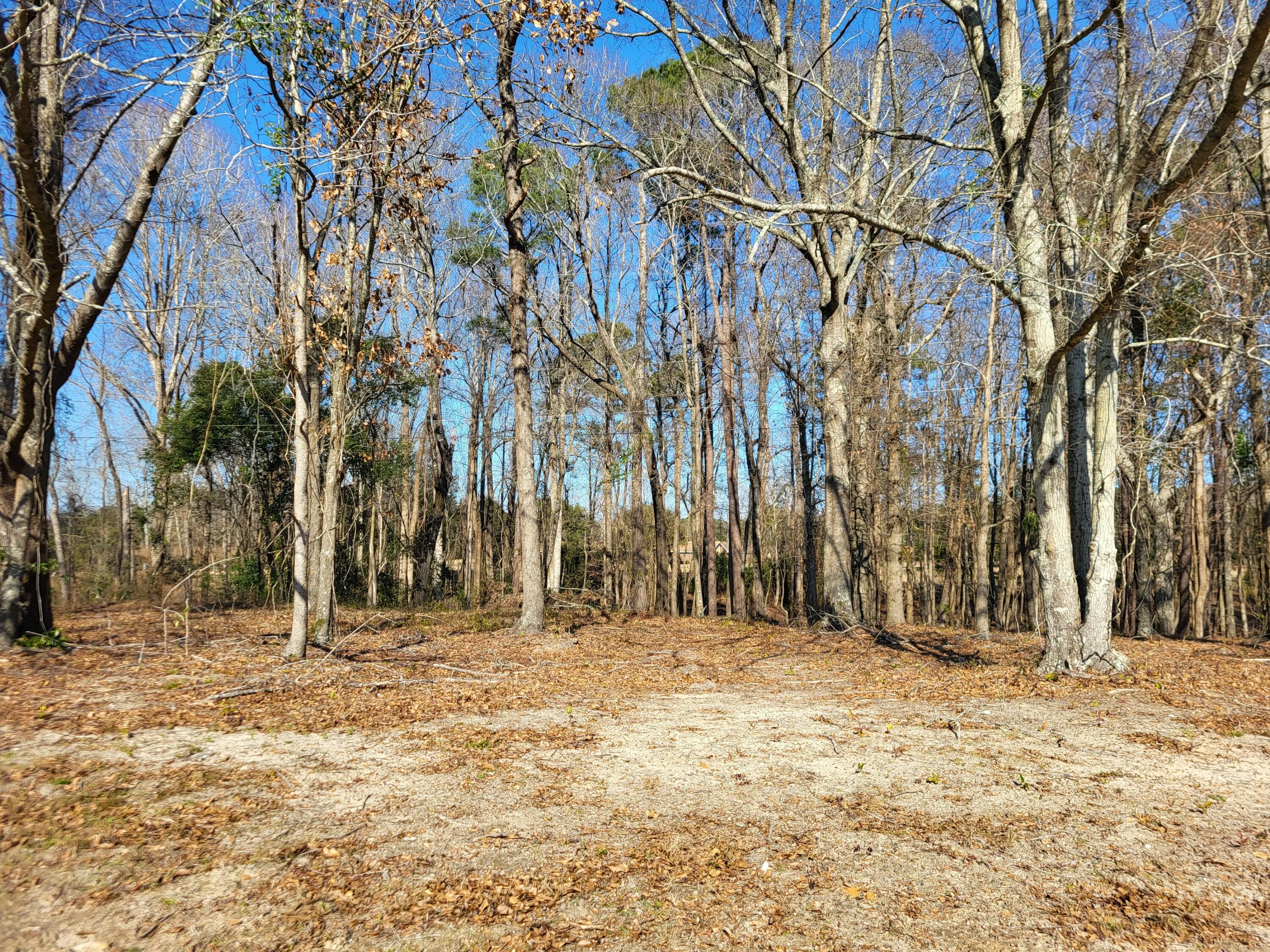 Lot 1 Santee Lumber Road
