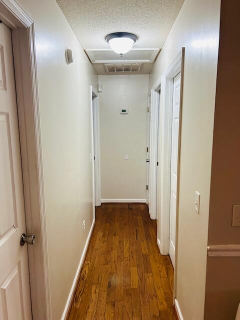 429 Stephanie Drive