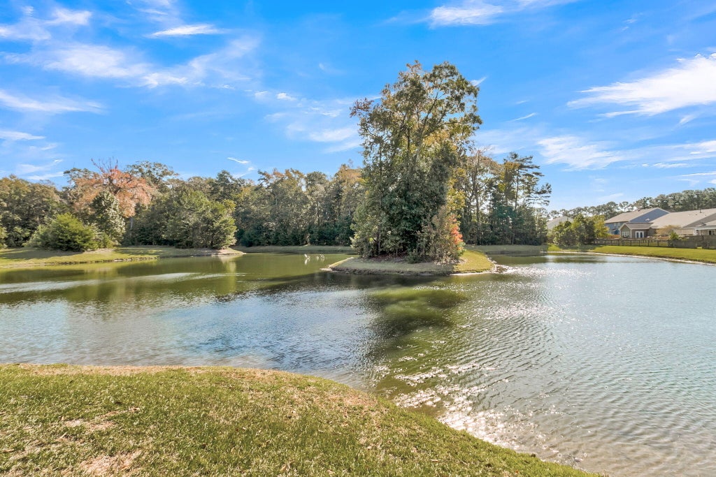 Photo of 256 Gazania Way, Charleston, SC 29414 (MLS # 26029466)