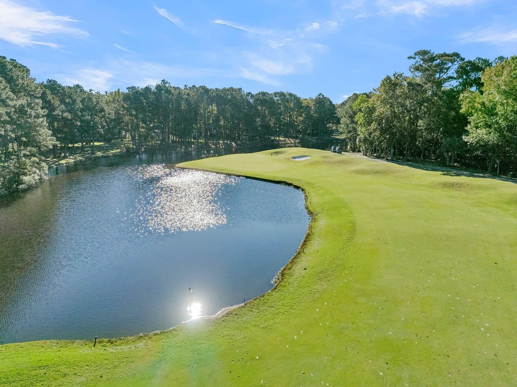 Photo of 3708 Colonel Vanderhorst Circle, Mount Pleasant, SC 29466 (MLS # 25029307)