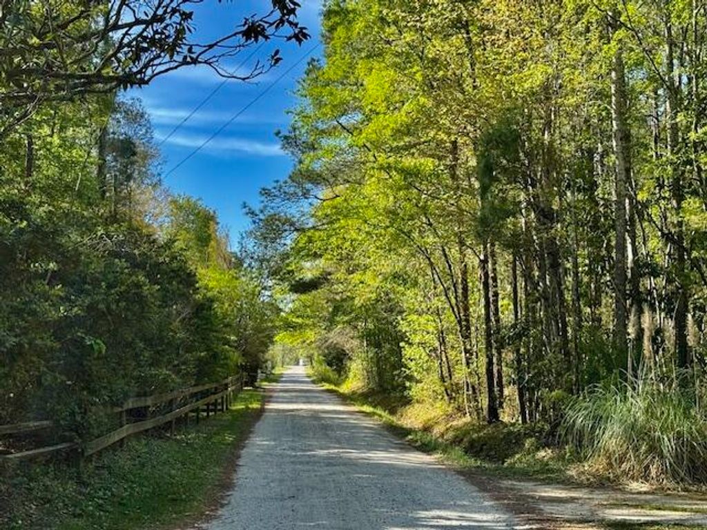 Photo of 1183 White Road, Awendaw, SC 29429 (MLS # 26009807)