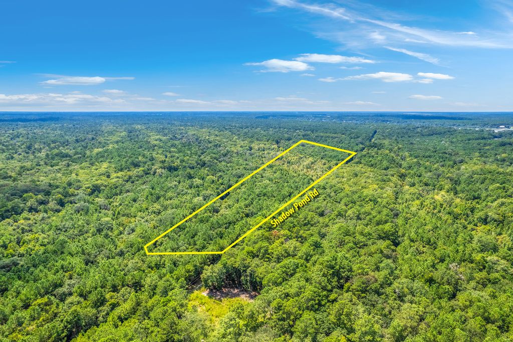 Photo of 2 Shadow Pond Road, Johns Island, SC 29455 (MLS # 25024092)