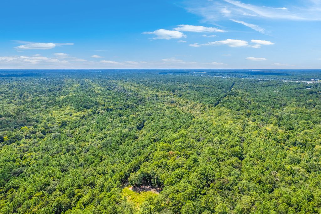Photo of 2 Shadow Pond Road, Johns Island, SC 29455 (MLS # 25024092)