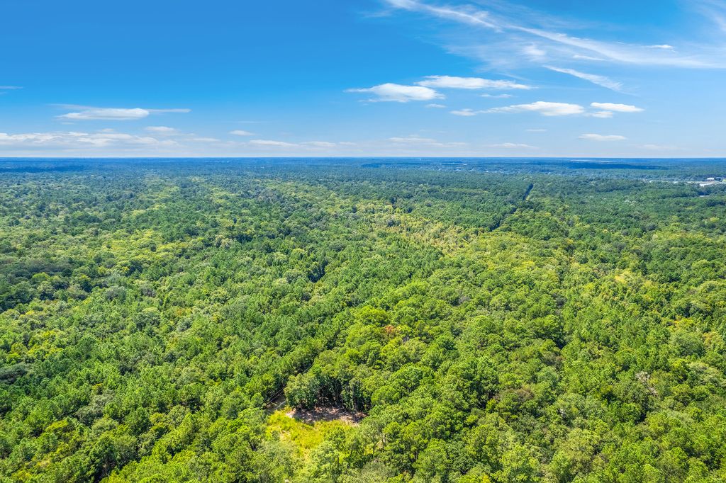Photo of 2 Shadow Pond Road, Johns Island, SC 29455 (MLS # 25024092)