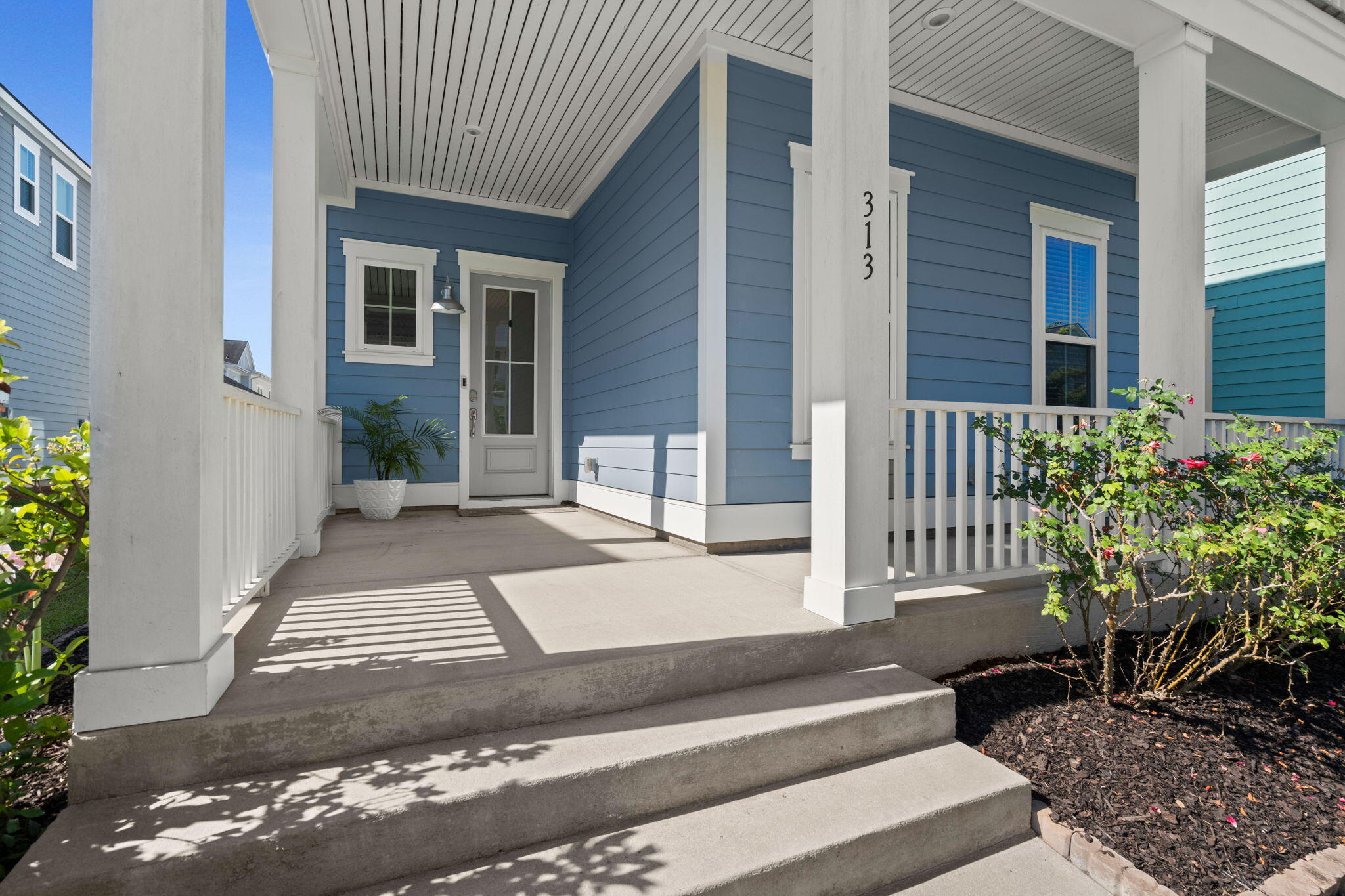 313 Cypress Knee