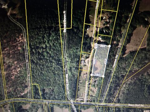 1476 Hezkiah Road Wadmalaw Island SC 29487