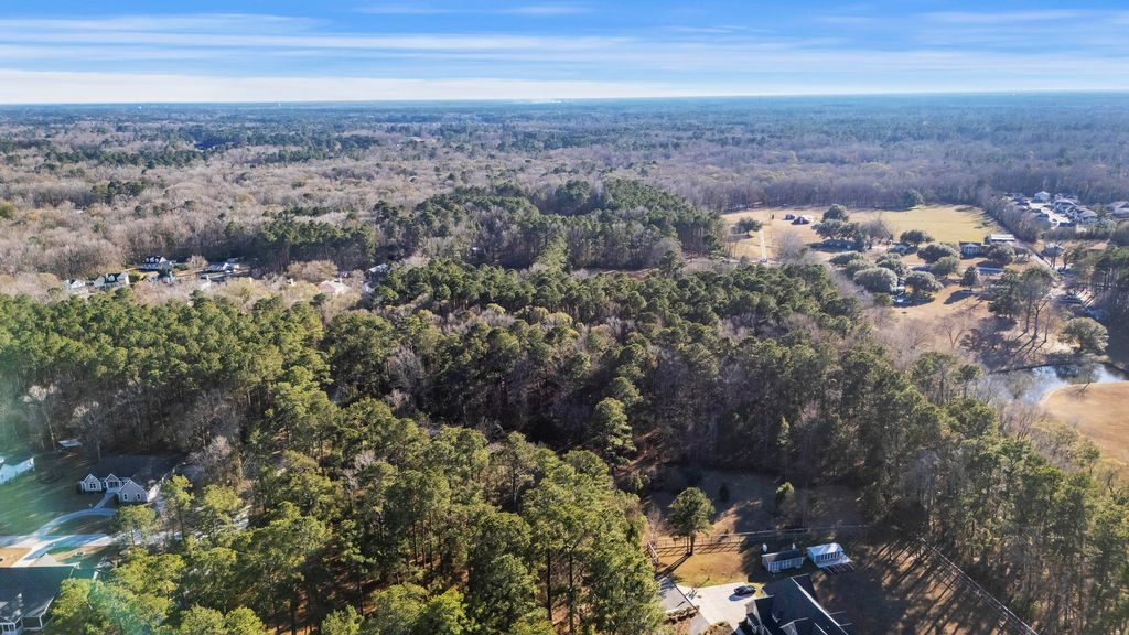 Photo of 167 Mentor Street, Summerville, SC 29483 (MLS # 26001849)