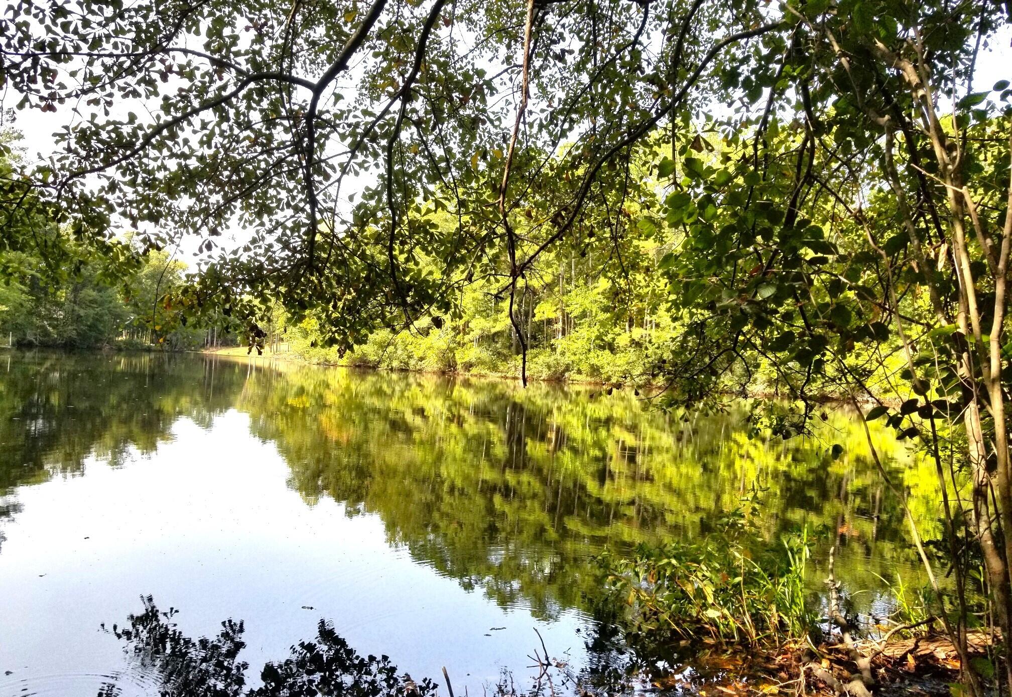 #7 Row Boat Lane