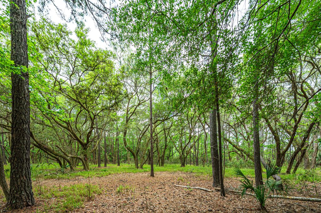Photo of Lot 3 King Rail Lane, Edisto Island, SC 29438 (MLS # 25013664)
