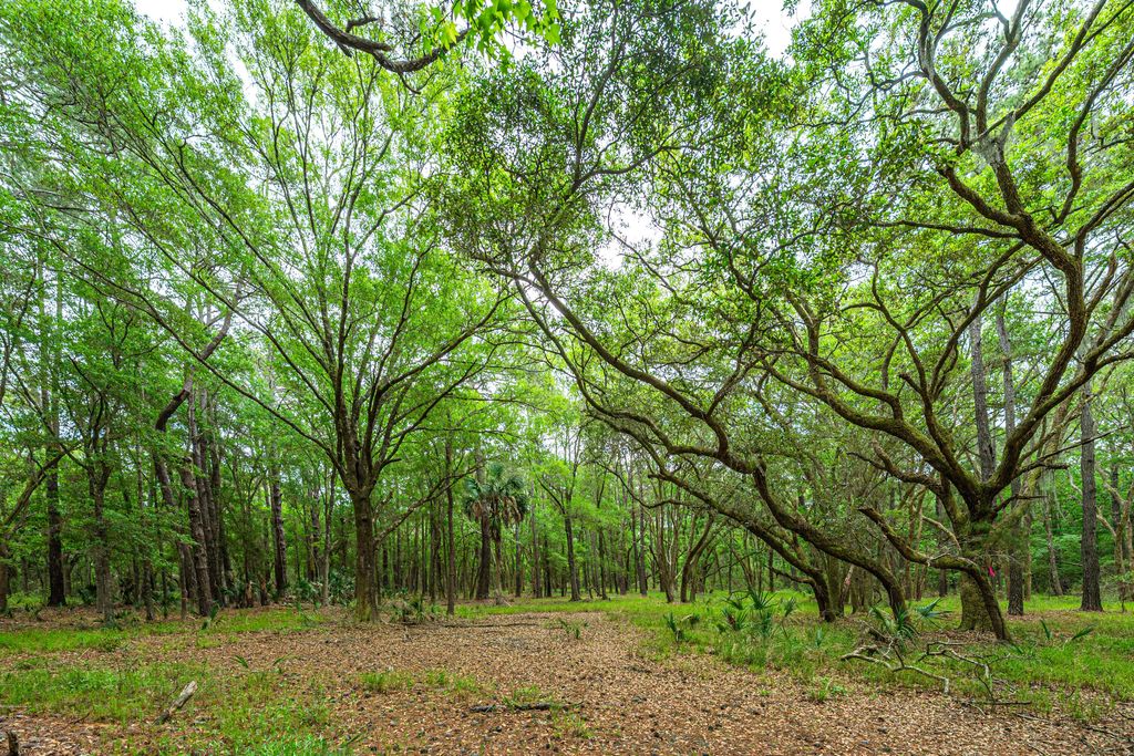 Photo of Lot 3 King Rail Lane, Edisto Island, SC 29438 (MLS # 25013664)