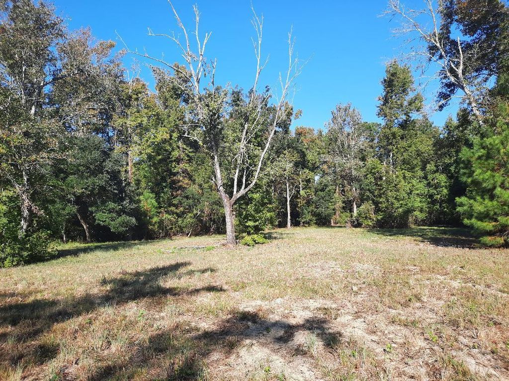 Photo of 769 Main Road, Johns Island, SC 29455 (MLS # 24027981)