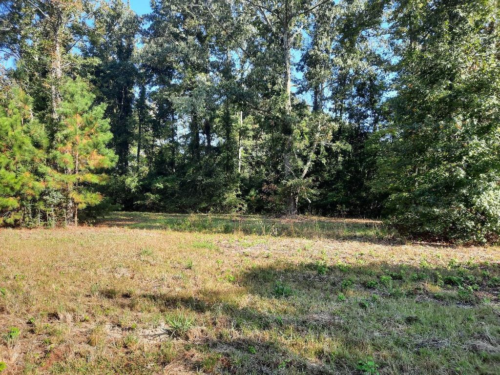 Photo of 769 Main Road, Johns Island, SC 29455 (MLS # 24027981)