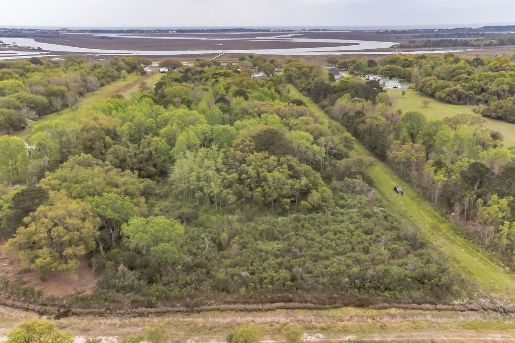 Photo of 2165 Rosebush Lane, Charleston, SC 29412 (MLS # 24020162)