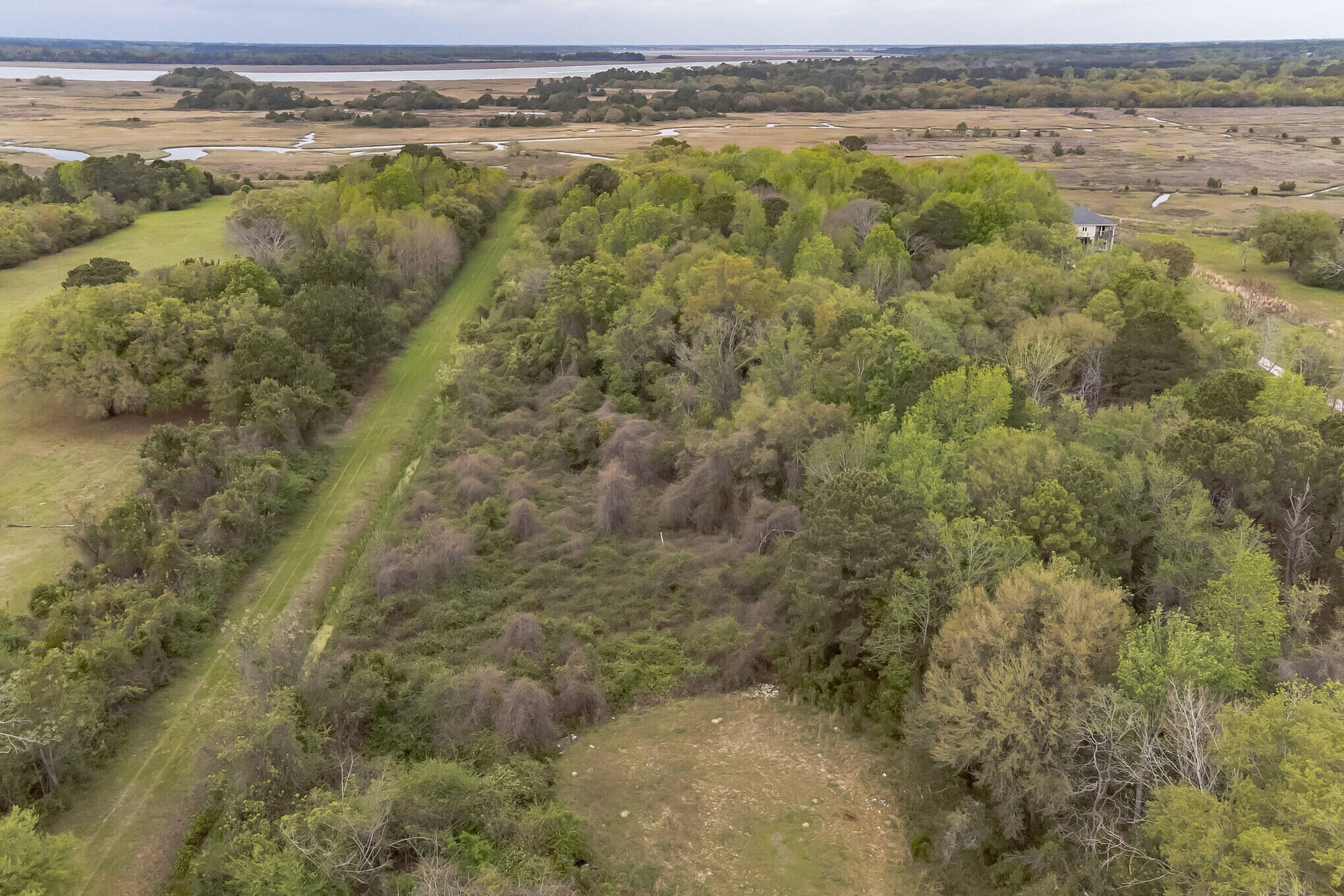 2165 Rosebush Lane