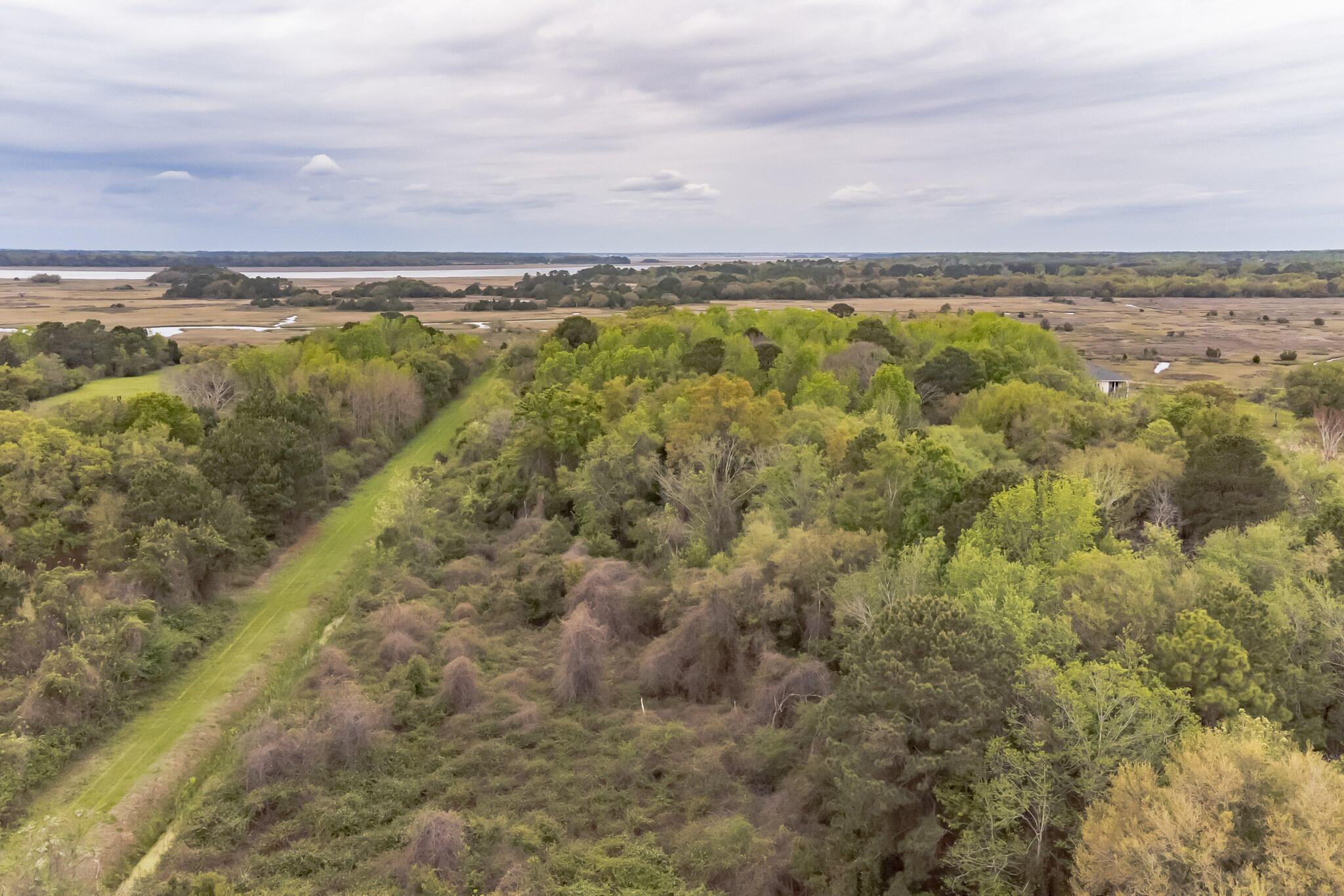 2165 Rosebush Lane