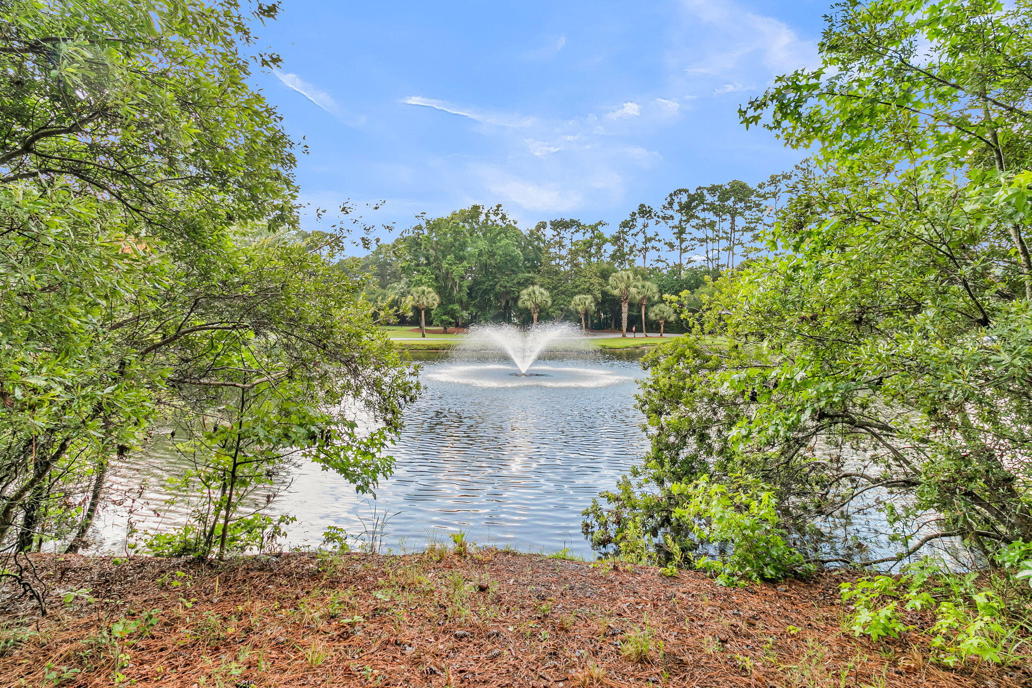 4791 Stono Links Drive