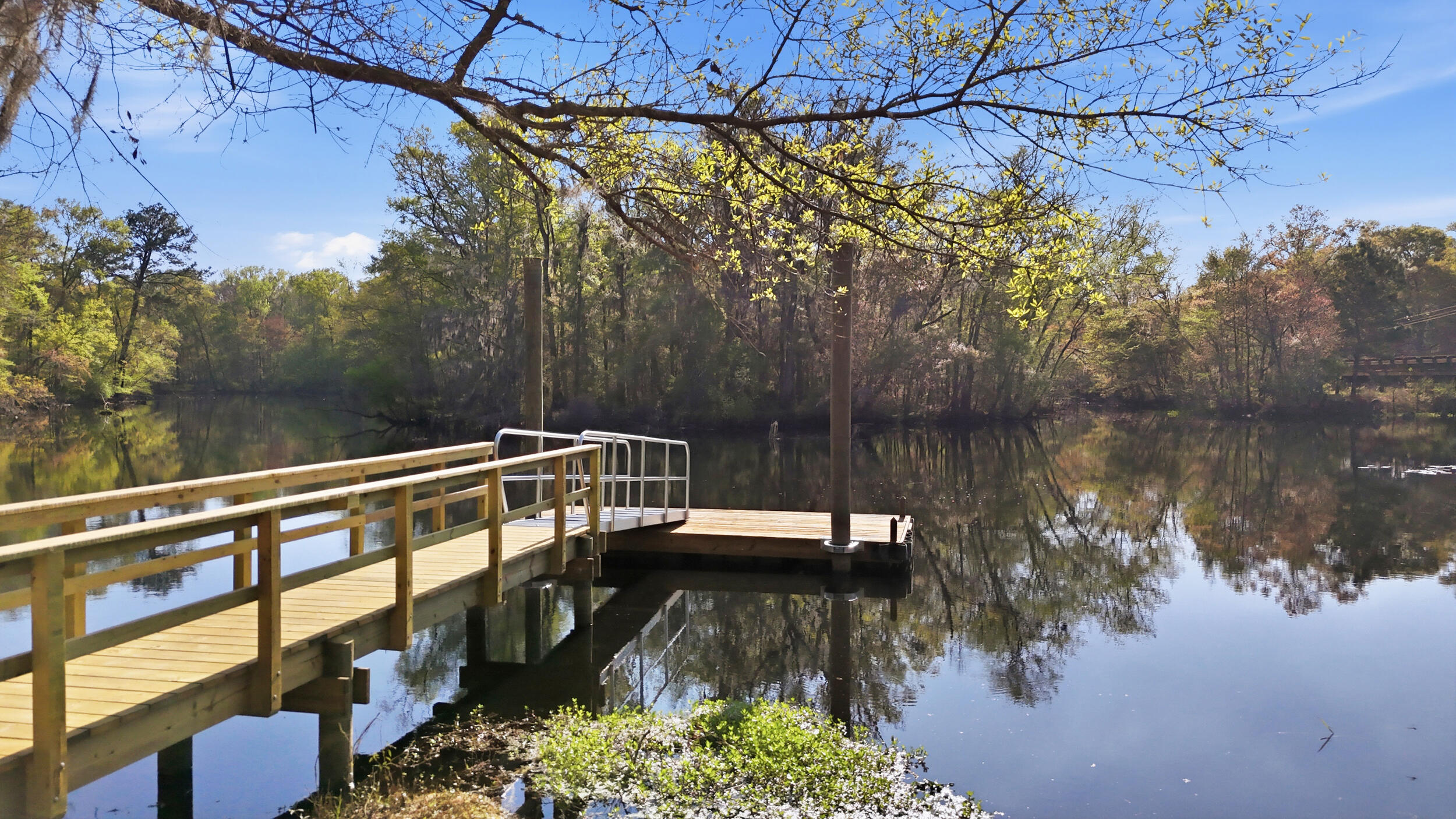 16703 Hendersonville Highway