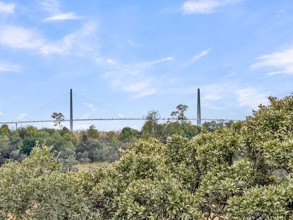 Photo of 1970 Bellona Street, Charleston, SC 29492 (MLS # 25032361)