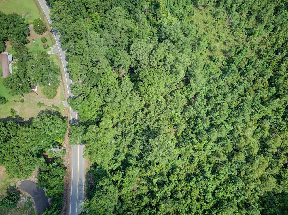 Photo of 00 First Texas Road, Saint George, SC 29477 (MLS # 26022691)