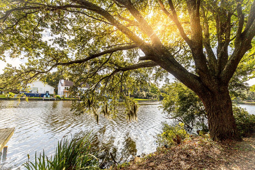 Photo of 713 Lake Frances Drive, Charleston, SC 29412 (MLS # 26002829)