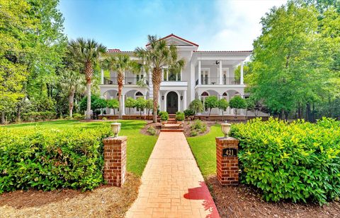 Photo of 421 Royal Assembly Drive, Charleston, SC 29492 (MLS # 25010216)