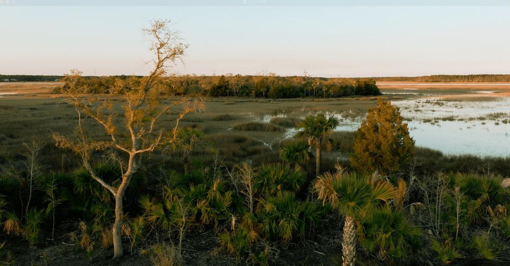 Photo of 1124 Ship Builder Street, Charleston, SC 29492 (MLS # 25017811)