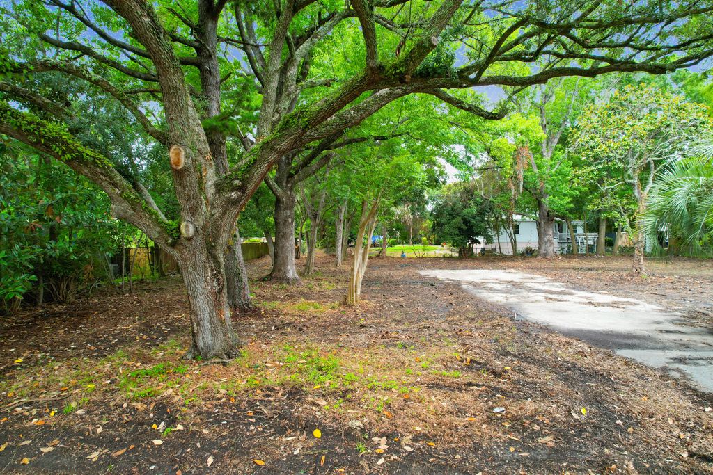 Photo of 0 Lindberg Street #Lot 10, Charleston, SC 29412 (MLS # 25016468)