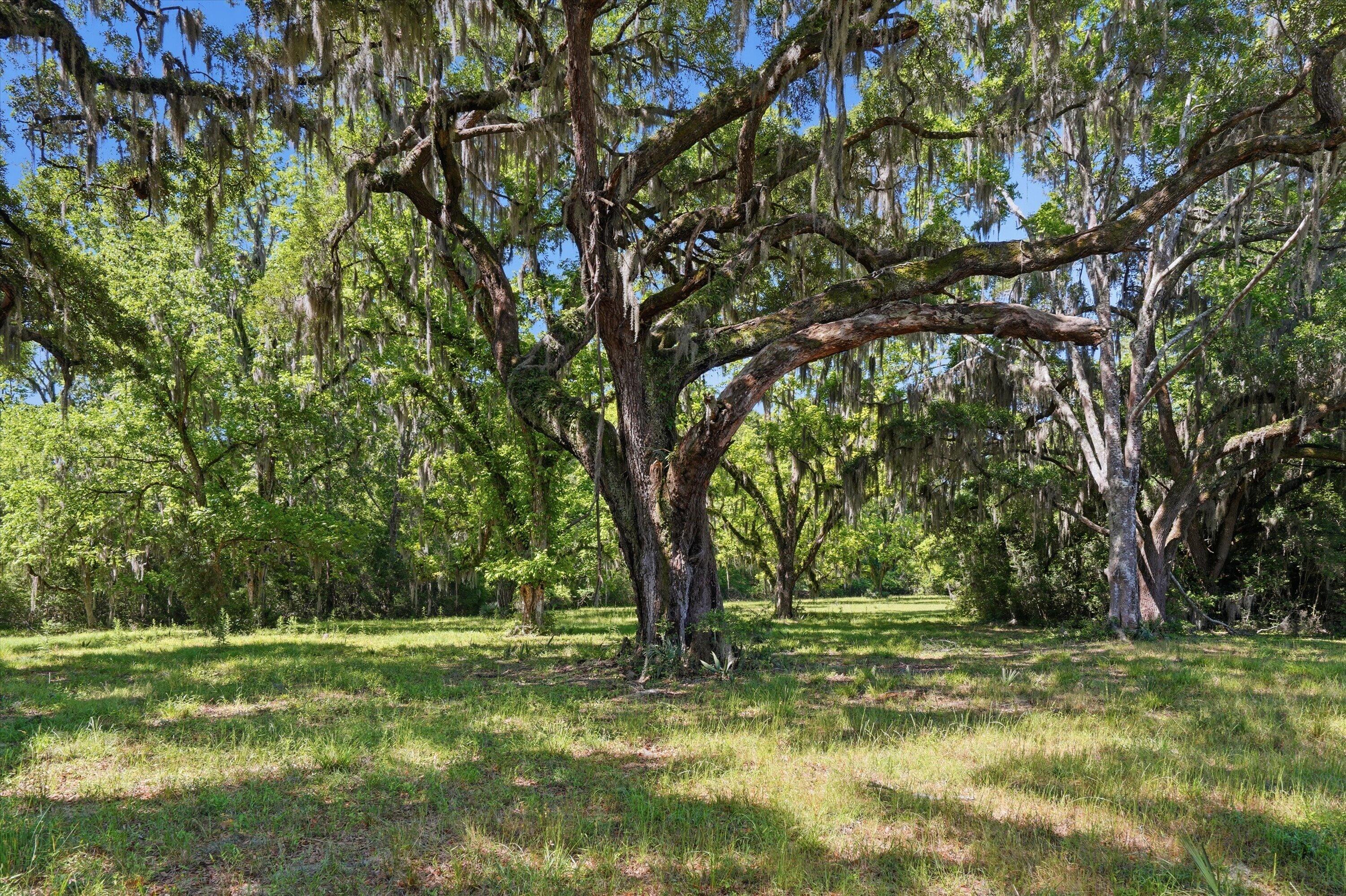 7817 Little Britton Road Lot A-3