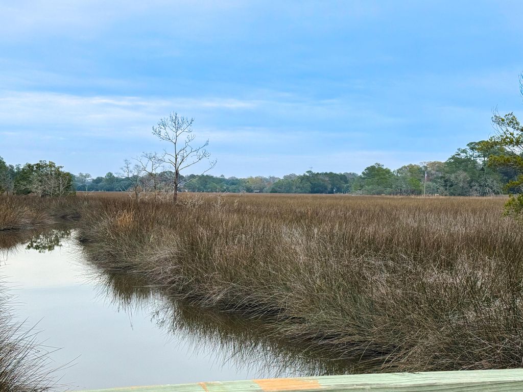 Photo of 2110 Marsh Flower Lane, Charleston, SC 29414 (MLS # 25031879)