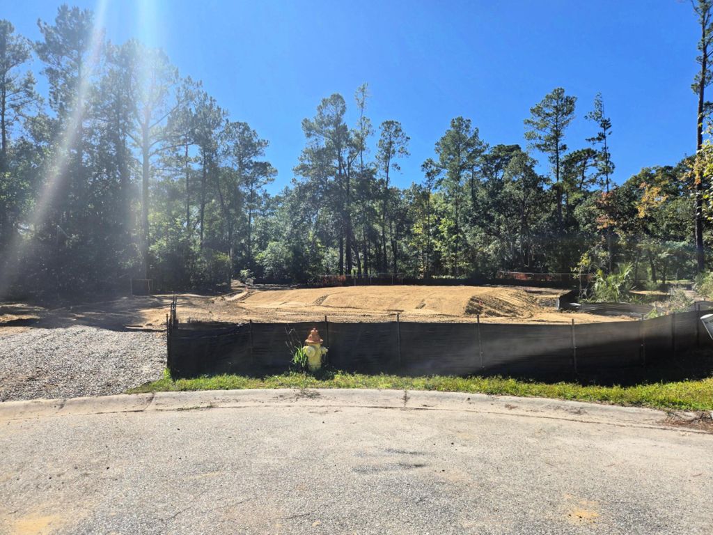 Photo of 2923 Zachary George Lane, Johns Island, SC 29455 (MLS # 24031055)