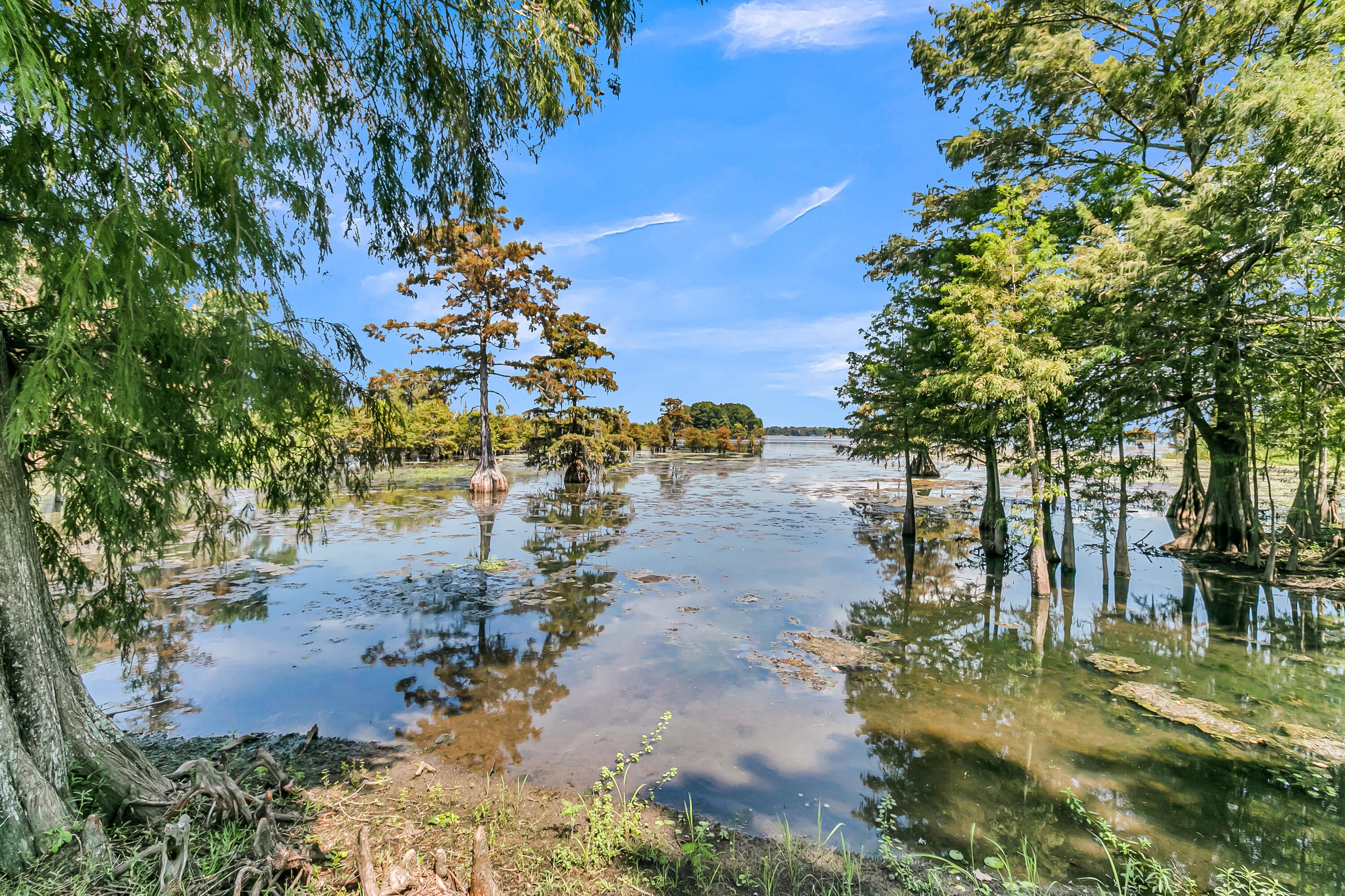 1232 Longpoint Road