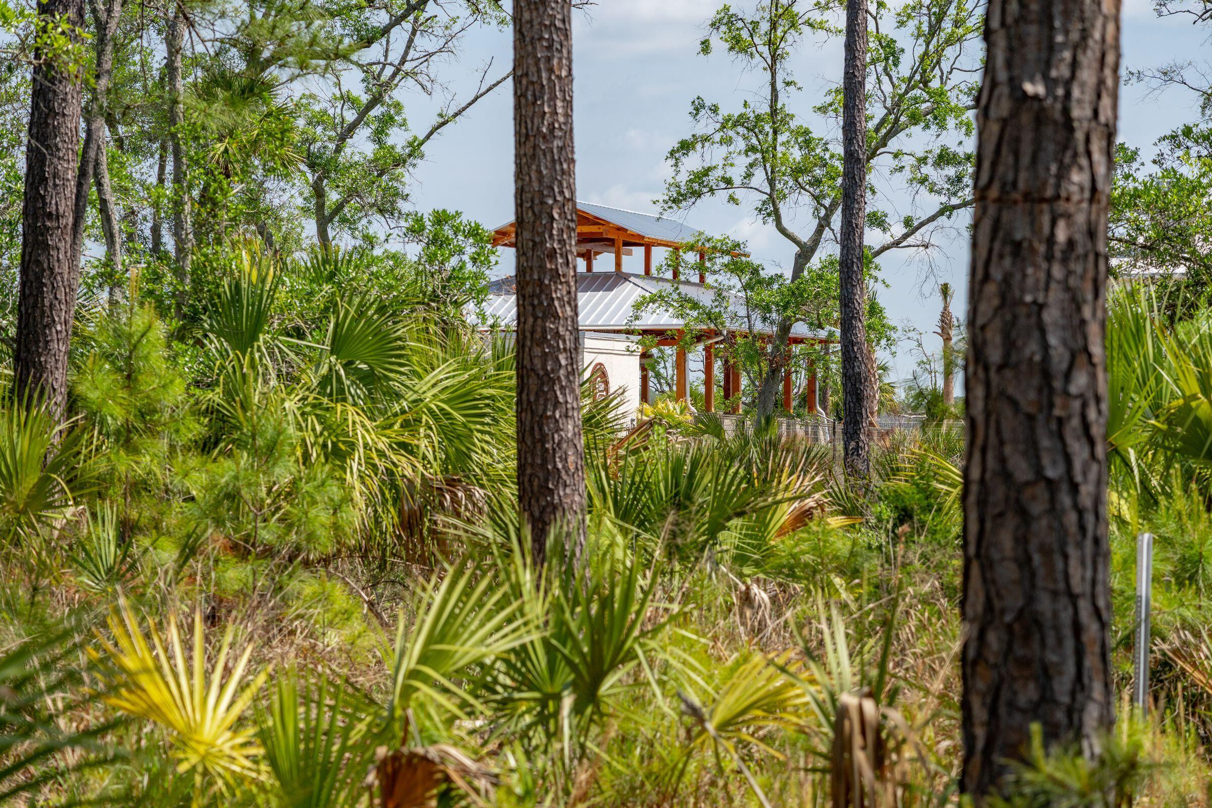 Charleston, South Carolina 29492, United States, ,Land,Active,137525