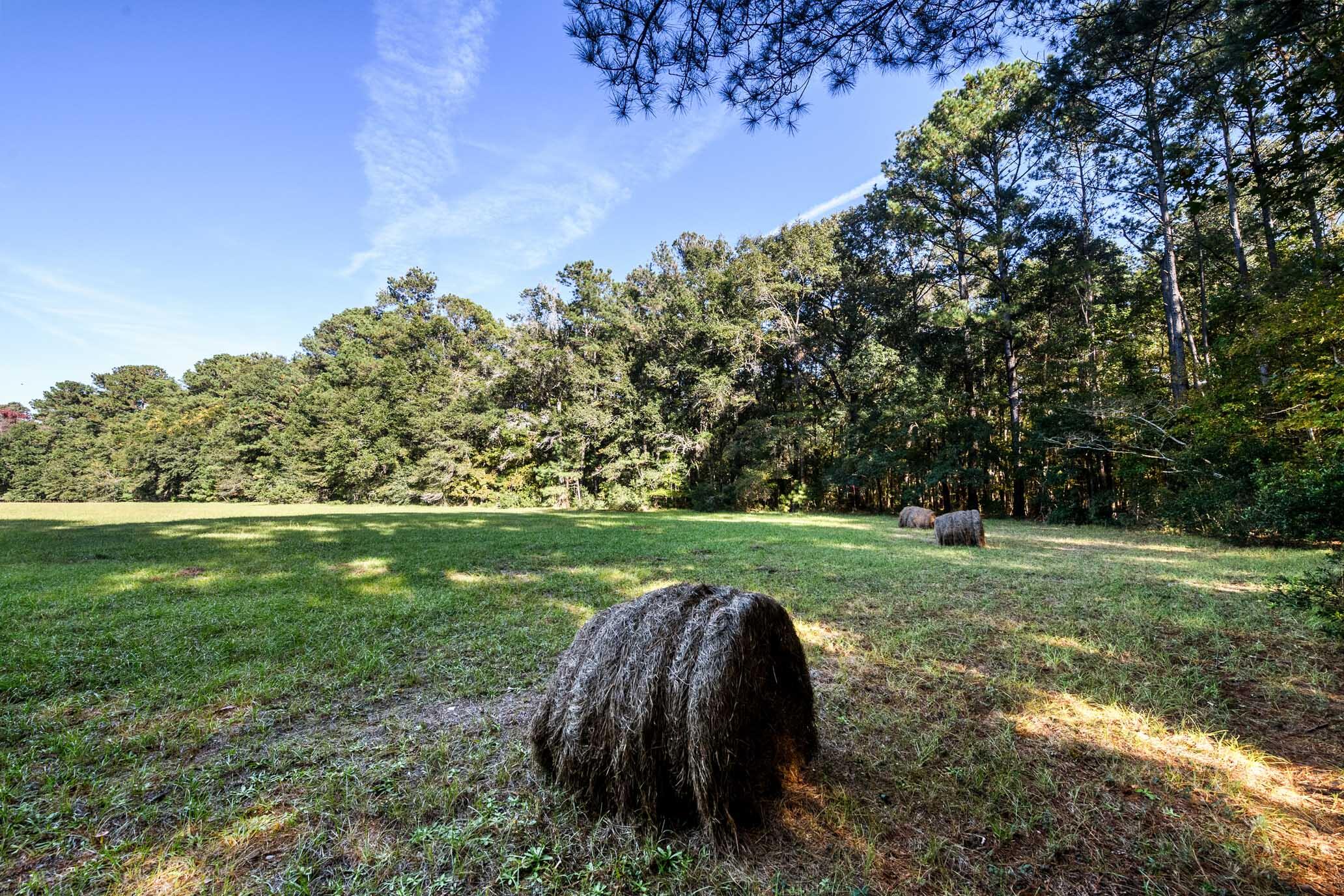 2459 Plow Ground Road