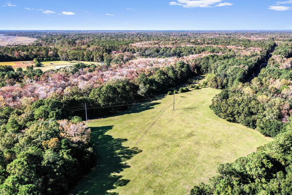 Photo of 2459 Plow Ground Road, Johns Island, SC 29455 (MLS # 25030632)