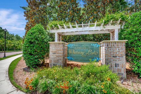 Photo of 1751 Brittlebush Lane, Johns Island, SC 29455 (MLS # 25026968)