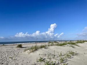 5802 Palmetto Drive B314