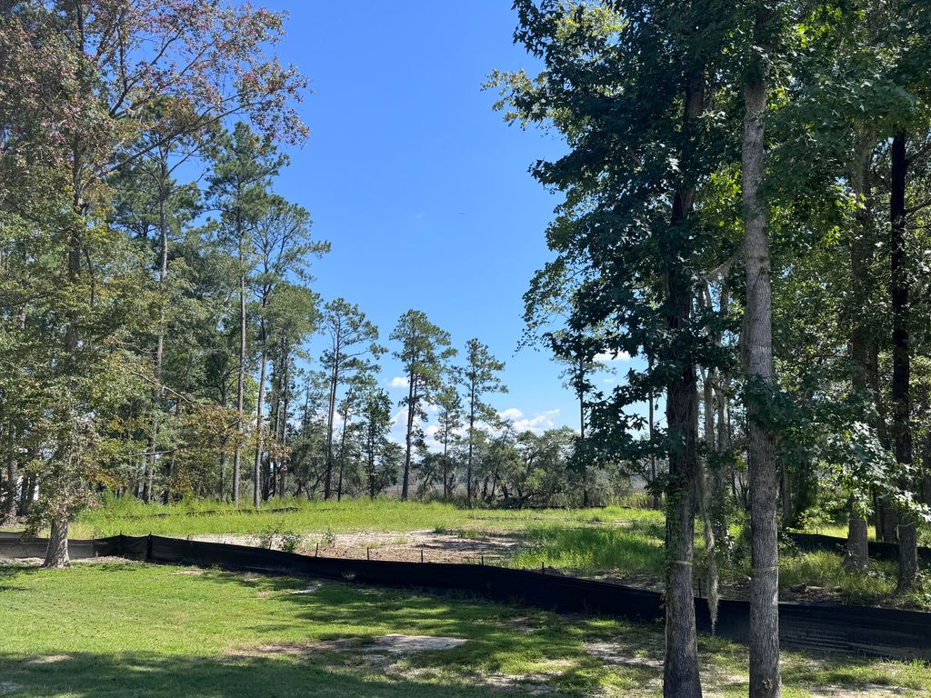 Photo of 106 Peninsula Drive, Ravenel, SC 29470 (MLS # 24022894)