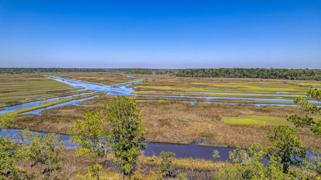 Photo of 106 Peninsula Drive, Ravenel, SC 29470 (MLS # 24022894)