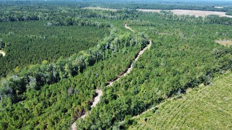 Photo of 0 Beavers Pass Road, Smoaks, SC 29481 (MLS # 25026971)