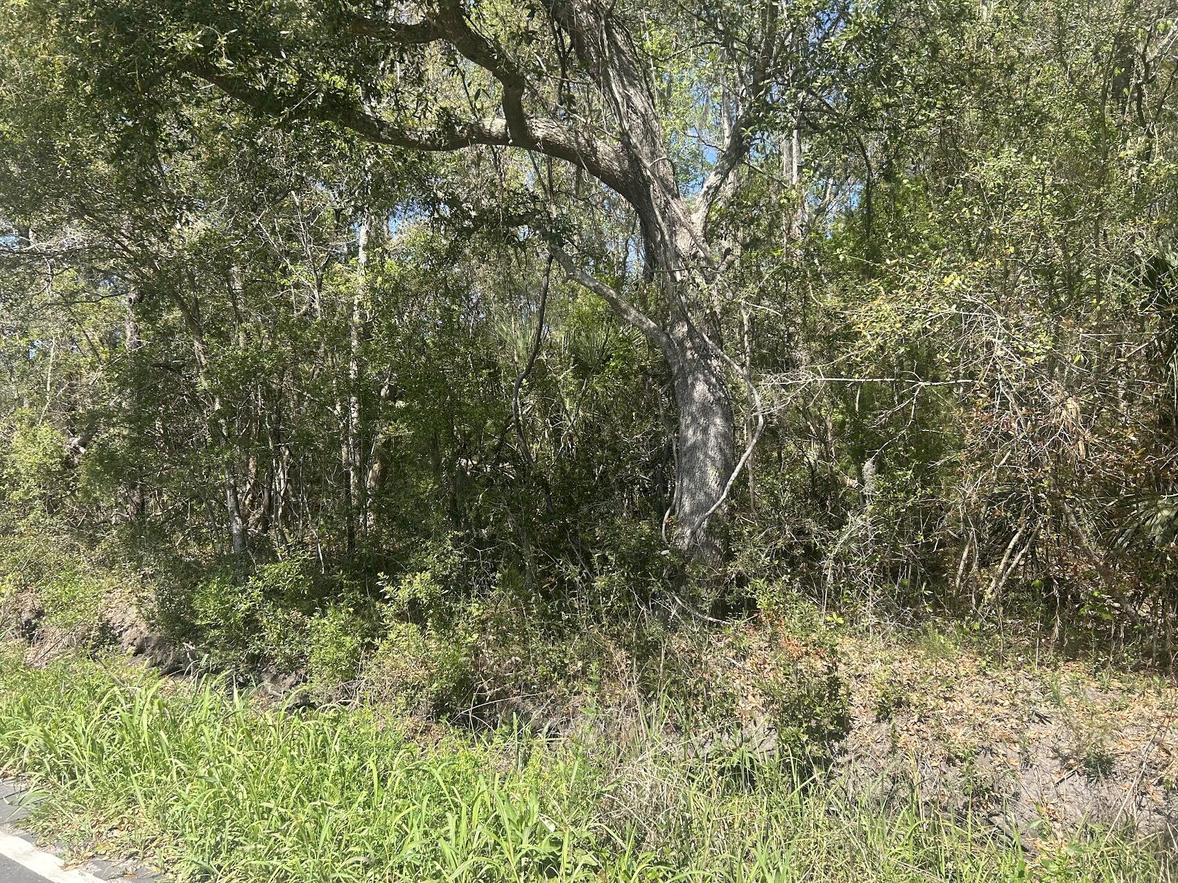 2492 Boy Scout Road