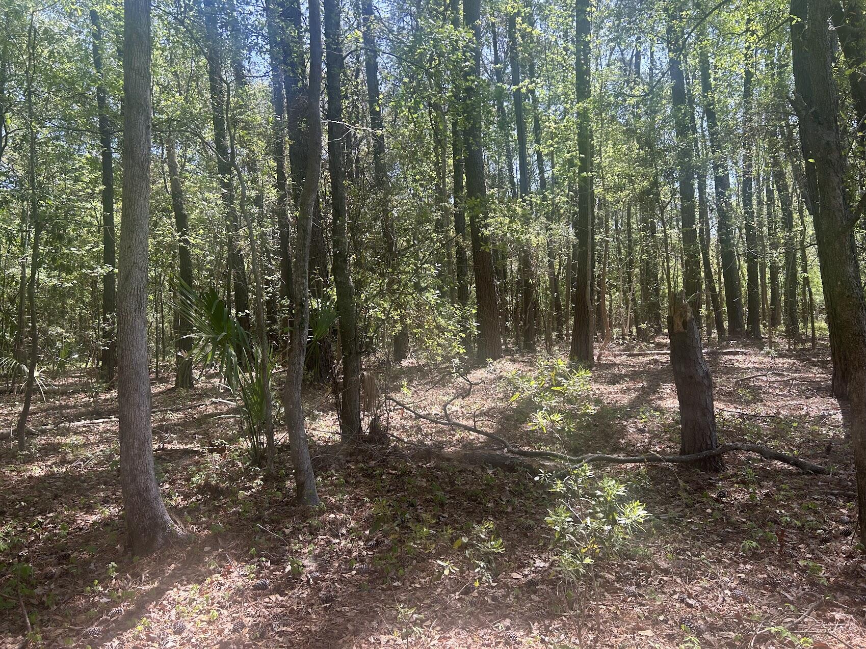 2492 Boy Scout Road