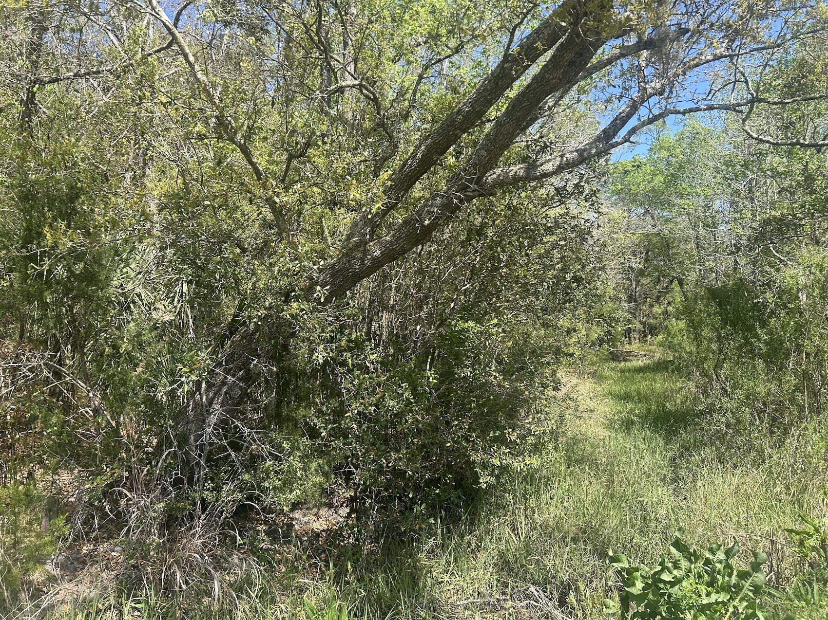 2492 Boy Scout Road