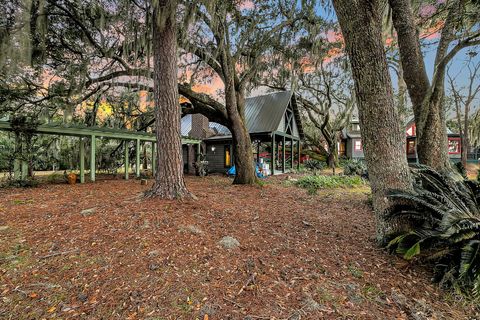 A home in Wadmalaw Island