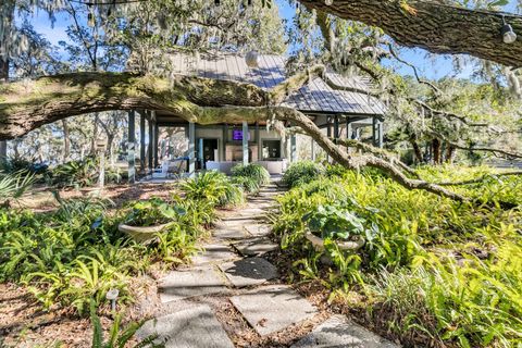 A home in Wadmalaw Island