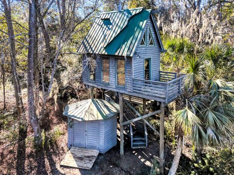 A home in Wadmalaw Island