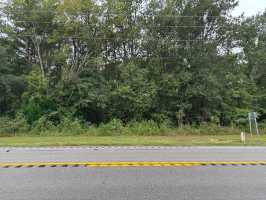 0 HIGHWAY SC-6, ELLOREE, SC 29047 - Image 1af1c59d64f100b71a5fc5dba4db62d5/4045475579