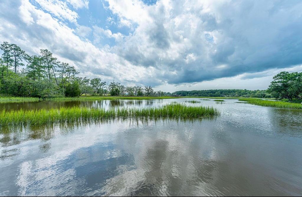 Photo of 4559 Smoak Road, Meggett, SC 29449 (MLS # 25007233)