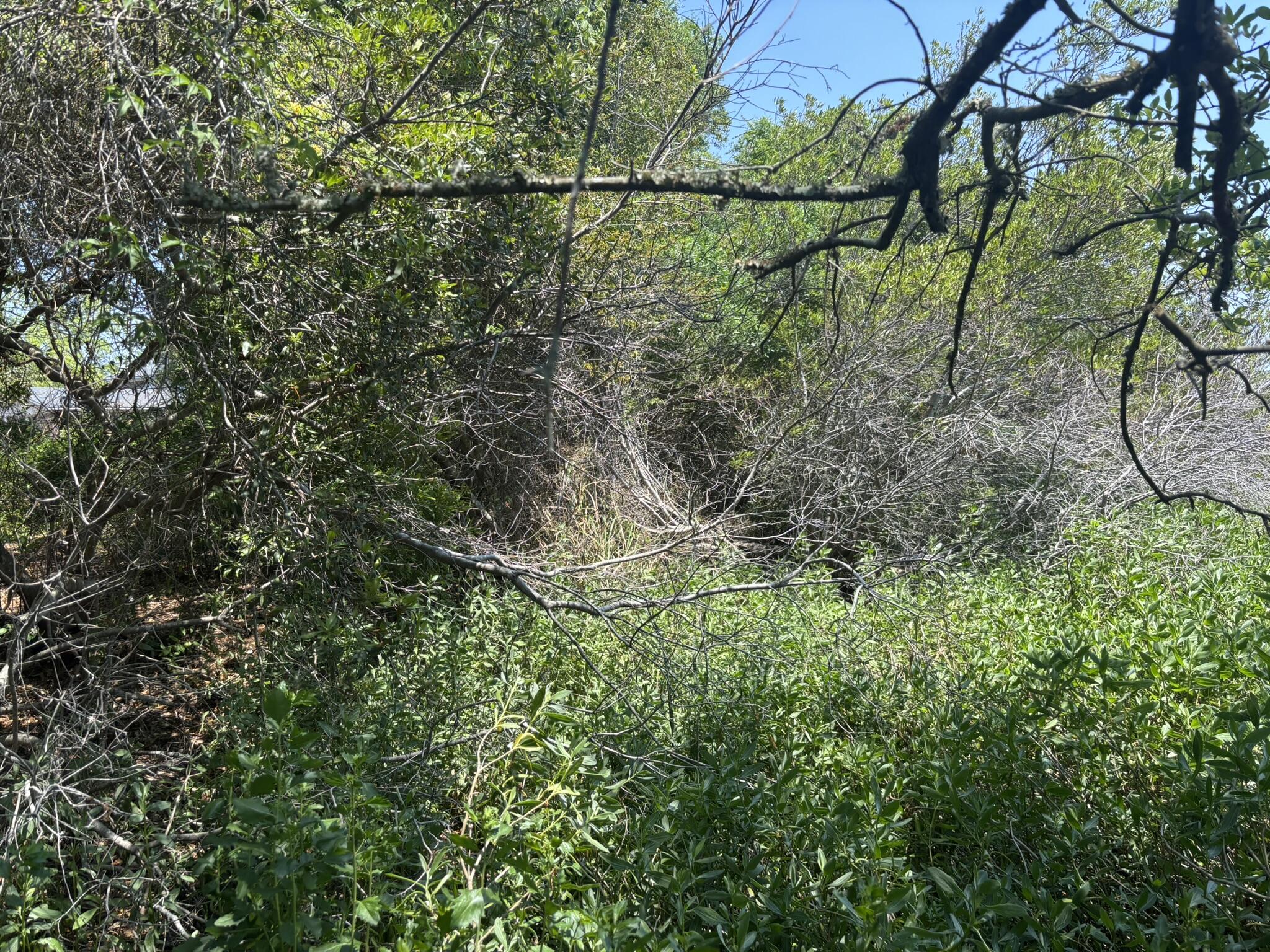 2035 Sol Legare Road