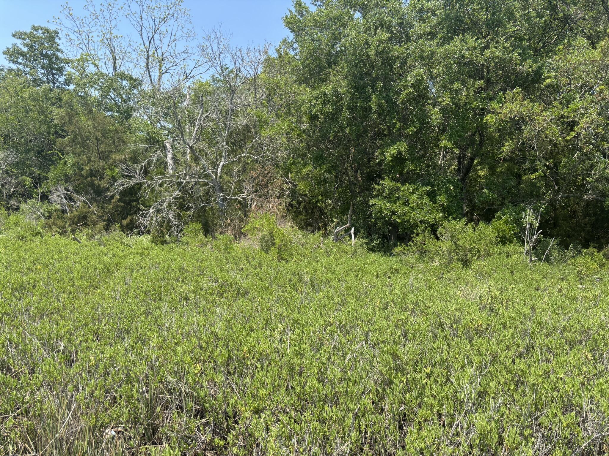 2035 Sol Legare Road