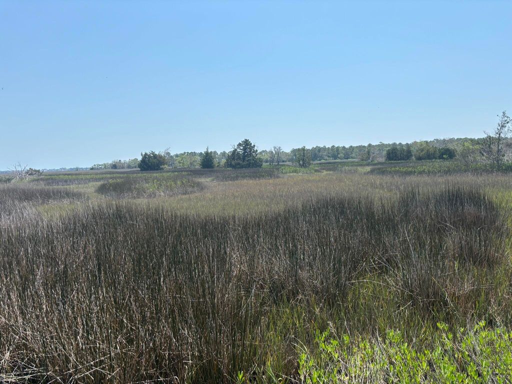 Photo of 2035 Sol Legare Road, Charleston, SC 29412 (MLS # 26012482)